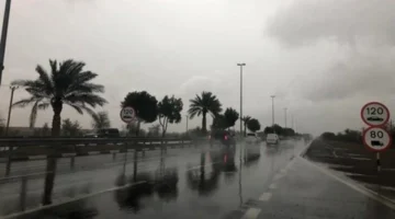 شبورة مائية كثيفة تسيطر على حالة الطقس صباح الثلاثاء 17 مارس 2026